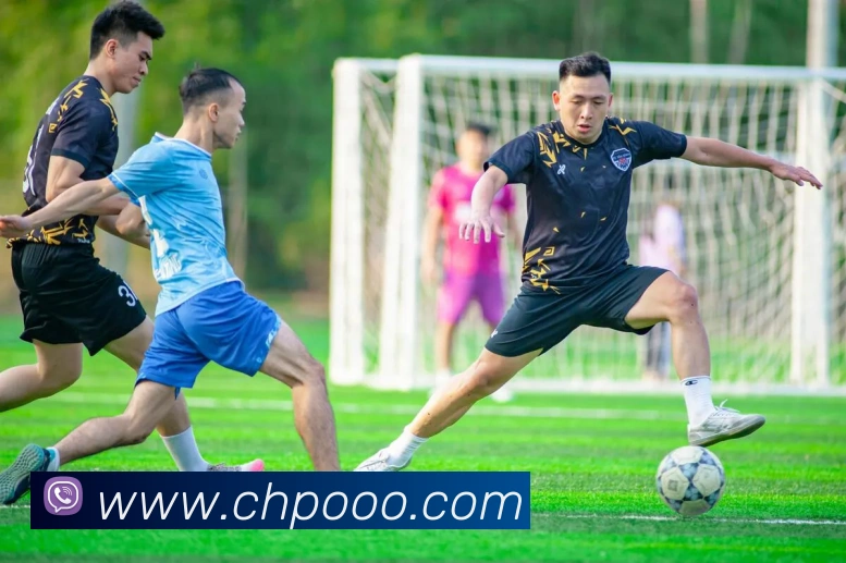 奇异果工作室官网平台生态图